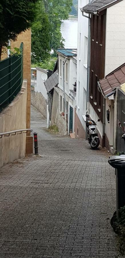 Rheinblick 3-Zimmer Apartment Mainz Buitenkant foto
